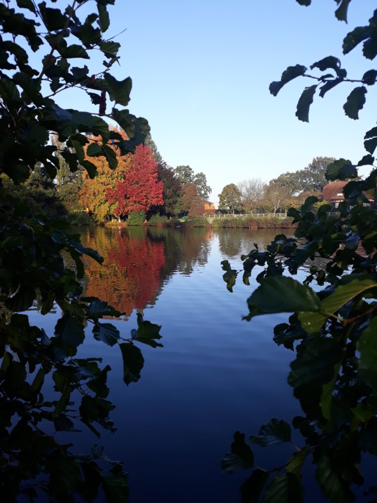 Carp fishing lake